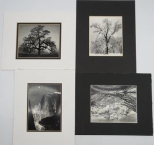 Group of 4 Matted Ansel Adams Photo Prints Moon Half Dome Maroon Bells Oak Tree - Picture 1 of 5