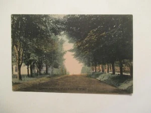 Ellsworth Wisconsin Postkarte Chestnut Street 1909 WI - Bild 1 von 2