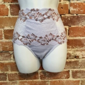 Sexy Rhonda Shear Lt Blue & Mocha Sheer Cross Dye Lace Pin-up Brief Panties New - Picture 1 of 3