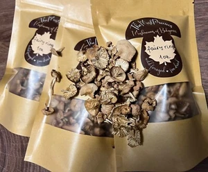 2 bags of Organic Dried FAIRY RING mushroom wild-foraged in Bulgaria - 2 x 1oz - Picture 1 of 7