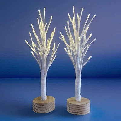 Birch Trees 20” Battery Operated Set of 2 White Light Weddings Holidays Party - Image 1 of 4