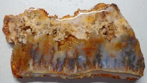 WRG- Graveyard Point Plume Agate Slab 46 grams Oregon Lapidary moss - Imagen 1 de 5