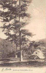 CPA 20 CORSE UN COIN DE VIZZANOVA - Picture 1 of 1