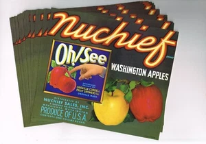 X25 NEUWERTIG GROSSHANDEL KISTEN ETIKETT VINTAGE NUCHIEF 1940ER JAHRE OH SEHEN! OROVILLE WENATCHEE - Bild 1 von 2