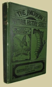 PACKARD, A.S. Our Common Insects. A Popular Account ... 1873. - Picture 1 of 2