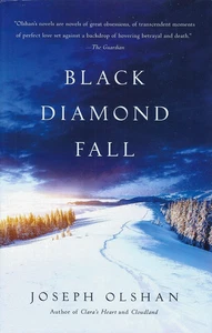Black Diamond Fall por Joseph Olshan declarado primera edición HCDJ en excelente estado! - Imagen 1 de 1