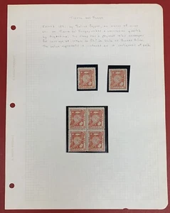 Tierra Del Fuego, Argentina, 1891, 10c Local Issue, Block of 4 & 2 Singles - Picture 1 of 1