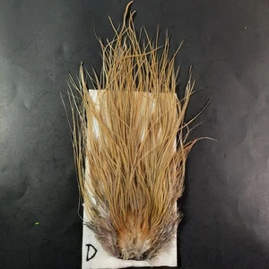 Ginger Light Dun Rooster Saddle Hackle Long Dry Fly Tying Feathers #D - Picture 1 of 6