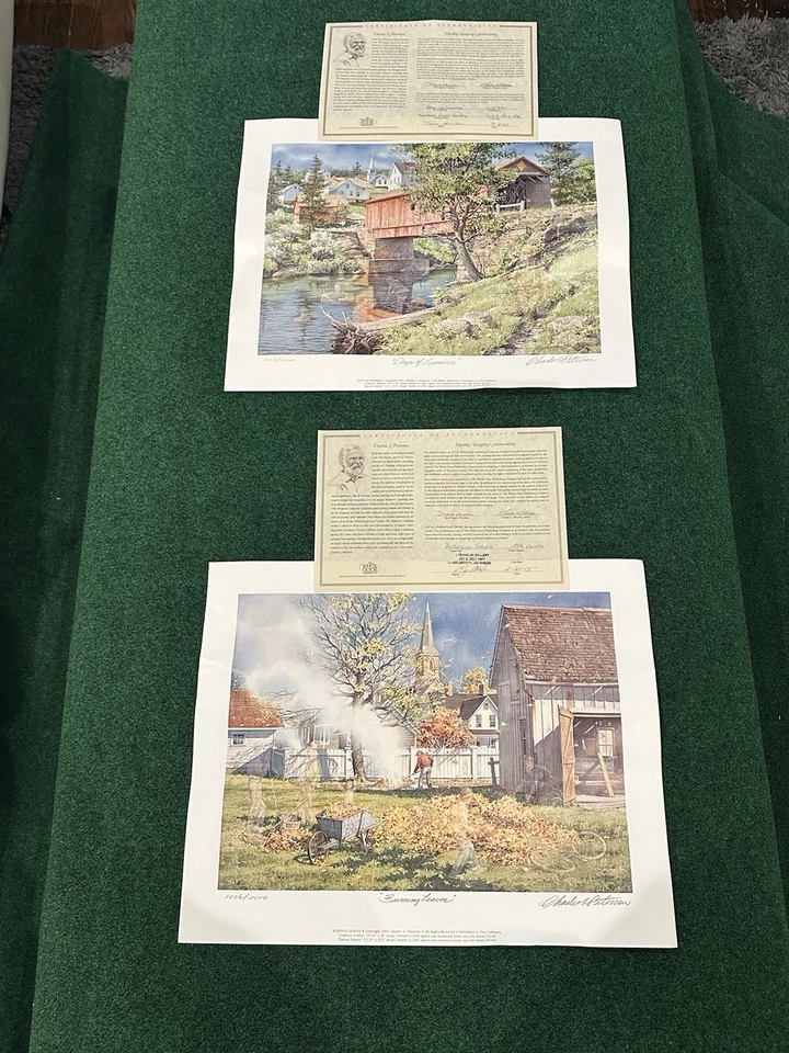 CHARLES PETERSON Lote de 2 ("Hojas ardientes" + "Días de verano") Impresión firmada #'d Foto 1 de 4