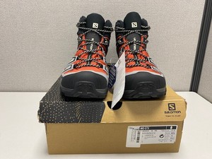 salomon x ultra 3 gtx burnt brick