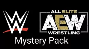 Mystery Pack 1 Card ONLY WWE AEW Relic Or Patch Or Event Worn or Auto - Foto 1 di 1