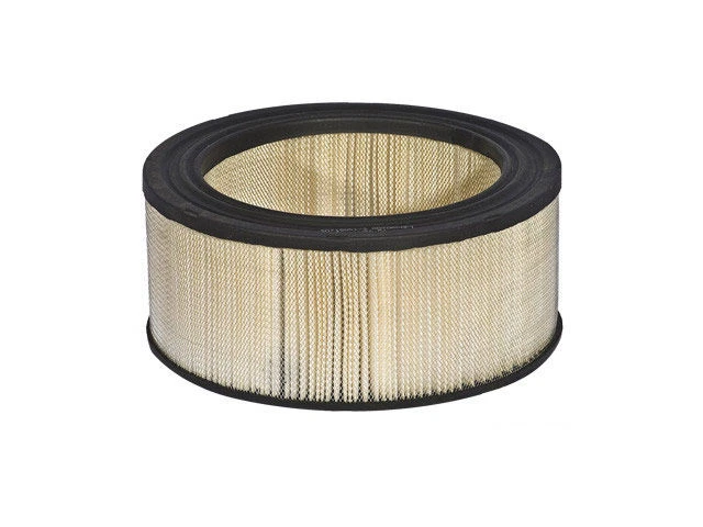 Filtro de aire Motorcraft 28BV46V para Ford E350 Econoline 1983-1991 Foto 1 de 1