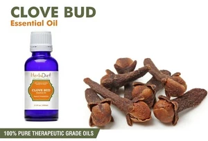 Clove Bud Essential Oil 100% Pure & Natural Aromatherapy Oils Therapeutic Grade - Picture 1 of 3