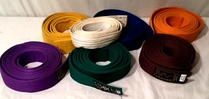 TORNADO-S+L-GT Karate-Budo-Judo Martial Arts Belt Custom Pick - Picture 1 of 16