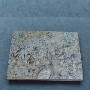 Onyx Fossil Marble Cutting Board Modern Design with Rounded Corner for Home - Picture 1 of 3