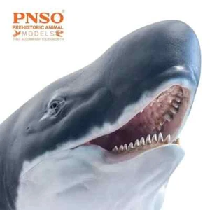 PNSO 2021 Requena il Livyatan - Cetaceo preistorico - Capodoglio - Imagen 1 de 5