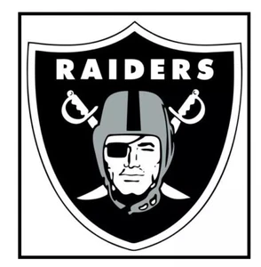 L53 Las Vegas Raiders equipo de fútbol americano NFL 2025 logotipo imán de refrigerador 4 pulgadas - Imagen 1 de 1