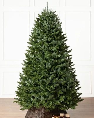 Balsam Hill Fraser Fir Tree 7.5 ft UNLIT  RRP £859 - Image 1 of 2