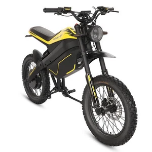 Electric Dirt Bike 3000W 48V 38.4AH Brushless Motor Motorcycle Battery For Adult - Picture 1 of 24
