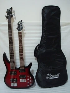 Guitarra eléctrica de doble cuello de 6/4 cuerdas con estuche acolchado - Imagen 1 de 3