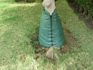 Tree Watering Bag - 20 gal, Slow Release Water Bag, Soil Irrigate Sack - Picture 1 of 9