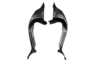 Carenado trasero de carbono para MV Agusta F4 1000 2010-2013 Foto 1 de 3