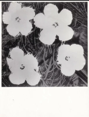 Andy Warhol Flowers Original Masters Ileana Sonnabend Paris 1964 Shunk-Kender Foto 1 de 3