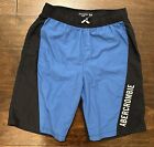 Boys Abercrombie Kids Blue/White Lined Swim Trunks Shorts- Size 15/16