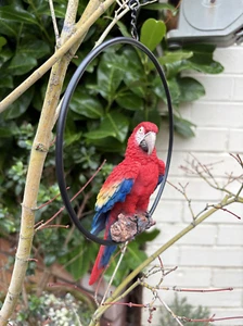 Vivid Arts Hanging Parrot Red Macaw Garden Ornament Outdoor Decoration Gift Idea - Picture 1 of 3
