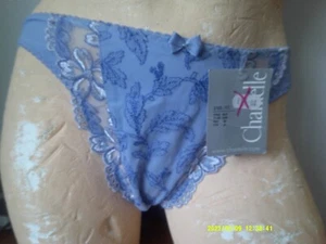 Smalll - New Chantelle Lingerie Ladies Embroidered Brief Blue Small (2163) - Picture 1 of 2