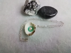 Real Fresh Water Pearl in Real sea shell necklace on silver chain, - Picture 1 of 5