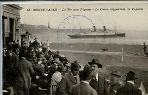 CP Monaco - Monte-Carlo - Le Tir aux Pigeons - Le Chien rapportant les Pigeons - Picture 1 of 2
