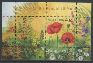 Moldova 2009. Flowers nice sheet MNH (**) - Picture 1 of 1