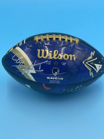 NFL Baltimore Ravens football Metallic purple And Black (autographed? Check DES Cover