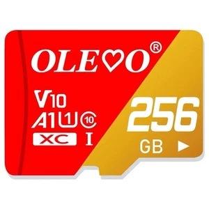 Cartes Mémoire miniSD – 256 Go, Class 10 Haute Vitesse - Picture 1 of 1