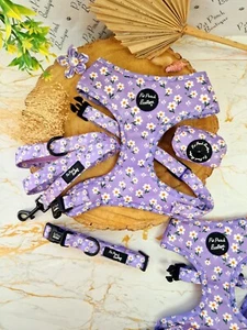 Lucky Little Lavender Daisies Flower harness or lead (for small dogs) - Picture 1 of 6