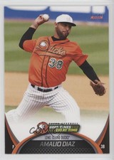 2015 Choice Long Island Ducks Amalio Diaz #11