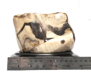 2700Gr BEAUTIFUL NATURAL PARTLY POLISHED PETRIFIED WOOD SPECIMEN INDONESIA - Picture 1 of 9