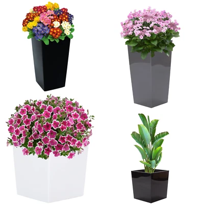 Blumenkübel Hochglanz Pflanzgefäß Übertopf Niedrig Hoch 5 FARBEN 2 Modelle - Bild 1 von 3