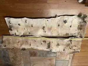 GROSSES SET___Premium junge Birkenrinde, 2X extra große Stücke___ Menge 22-6 - Bild 1 von 6