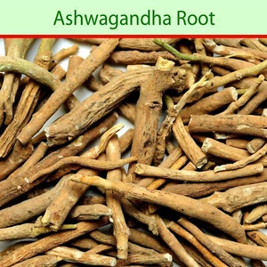 400 g radici di Ashwagandha 100% pura erba Ashwagandha ginseng indiano 14,10 ... - Foto 1 di 3