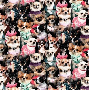 Elizabeths Studio - Best Friend - Chihuahuas - Multi - Picture 1 of 2