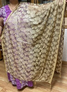 India BRASSO LYCRA TASSEL Dupatta Wrap Scarf Stole Chunri shawl NEW-beige golden - Picture 1 of 7