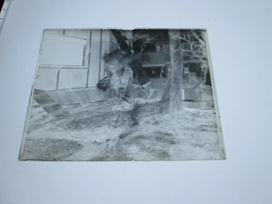 ONE (1) EARLY 1900s GLASS NEGATIVE: MAINE, "TWO CHICKENS FIGHTING". - Imagen 1 de 1