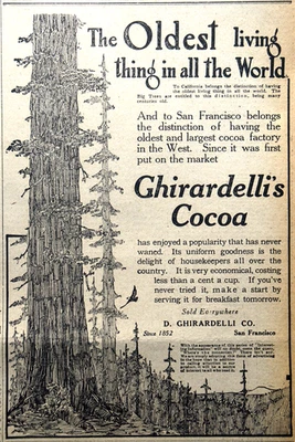 1912 San Francisco Newspaper Page - Rare Ghirardelli Cocoa Ad - Red Wood Trees - Image 1 of 2