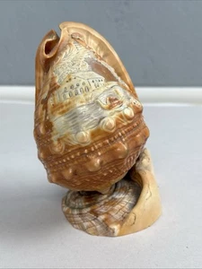 VTG Hand Carved Conch Cameo Seashell Italian Landscape Scene Decor Antique - Picture 1 of 9