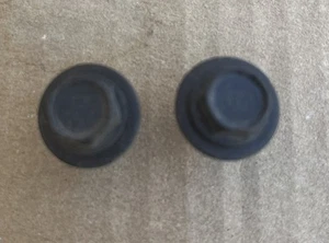 C4 Corvette OEM USED 1984-1990 (2) Tail Light Mounting Screws Set Of (2) - Picture 1 of 3