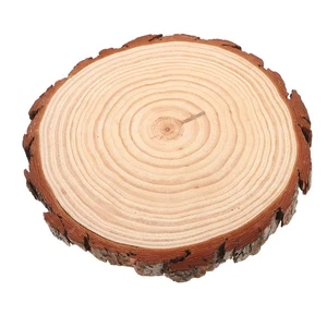 Outdoor Wooden Stepping Stone: Paver Step 25-28cm/9.84-11" Round Wood Chip - Picture 1 of 12