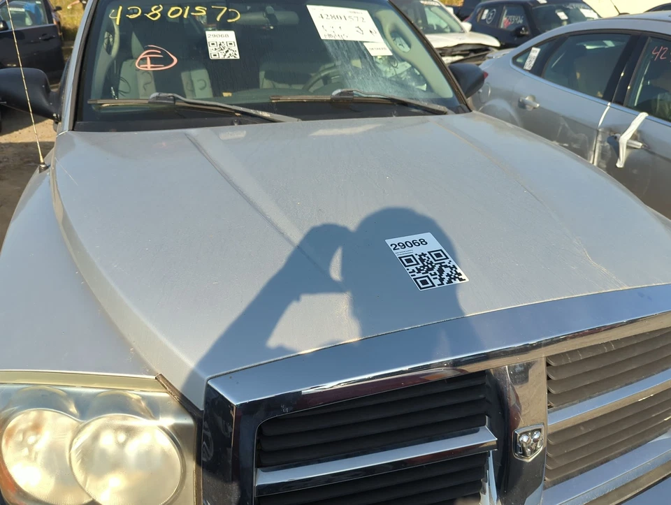 Оригинальный капот Dodge Dakota 2005–2007 годов выпуска FSUOH - Изображение 1 из 1