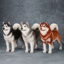 1/6 resin Alaska sled dog model simulation dog ornament animal   model